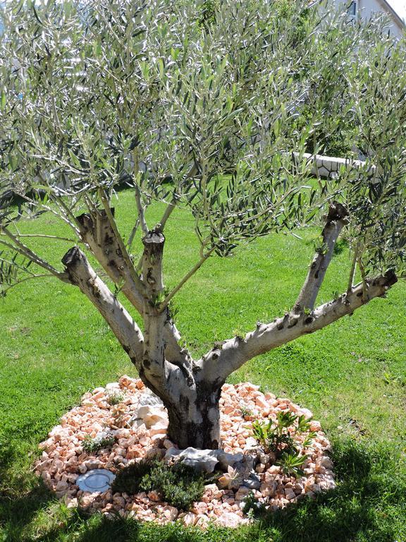 נובי ווינודולסקי Apartments Villa Residenca מראה חיצוני תמונה